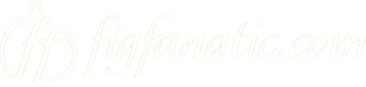 Fig Fanatic