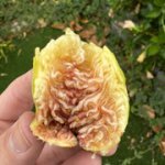 IMG-3452.jpg IMG-3452.jpg