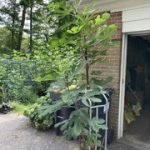 IMG-3250.jpg IMG-3250.jpg