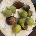 IMG-3269.jpg IMG-3269.jpg