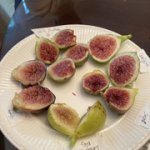 IMG-3276.jpg IMG-3276.jpg