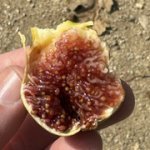 IMG-3480.jpg IMG-3480.jpg