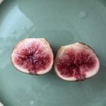 IMG-7430.jpg IMG-7430.jpg