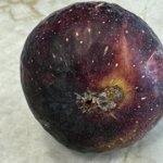 IMG-3498.jpg IMG-3498.jpg