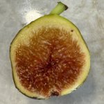 IMG-3526.jpg IMG-3526.jpg