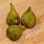 20240917-224128.jpg 20240917-224128.jpg