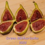 20240917-224433.jpg 20240917-224433.jpg