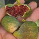 2024-09-07-10-38-17.jpg 2024-09-07-10-38-17.jpg