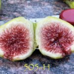 IMG-7775.jpg IMG-7775.jpg