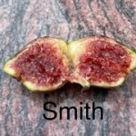 IMG-7738.jpg IMG-7738.jpg