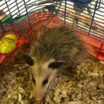 1-BE028-D8-1689-467-B-BDD2-F376836-D7-D5-C.jpg 1-BE028-D8-1689-467-B-BDD2-F376836-D7-D5-C.jpg