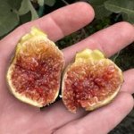 IMG-3549.jpg IMG-3549.jpg