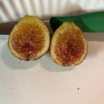 Negra-d-Agde-09192024-4.jpg Negra-d-Agde-09192024-4.jpg