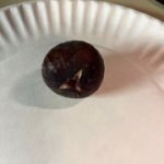 Ciliegia-Dolce-09192024-2.jpg Ciliegia-Dolce-09192024-2.jpg