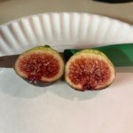 Ciliegia-Dolce-09192024-3.jpg Ciliegia-Dolce-09192024-3.jpg