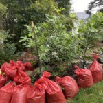 IMG-9809.jpg IMG-9809.jpg