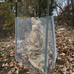 IMG-5295.jpg IMG-5295.jpg