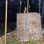 IMG-5296.jpg IMG-5296.jpg