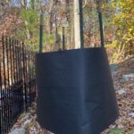 IMG-5303.jpg IMG-5303.jpg