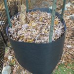 IMG-5304.jpg IMG-5304.jpg