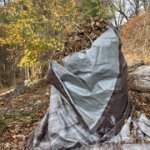 IMG-5305.jpg IMG-5305.jpg