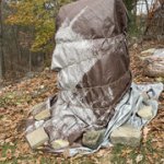 IMG-5306.jpg IMG-5306.jpg