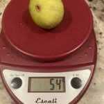 IMG-3366.jpg IMG-3366.jpg