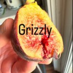 IMG-3402.jpg IMG-3402.jpg