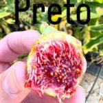 IMG-3401.jpg IMG-3401.jpg