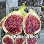 IMG-3218.jpg IMG-3218.jpg