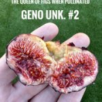 IMG-3181.jpg IMG-3181.jpg