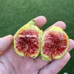 IMG-3148.jpg IMG-3148.jpg