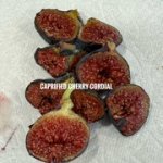 IMG-3140.jpg IMG-3140.jpg