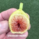 IMG-3087.jpg IMG-3087.jpg