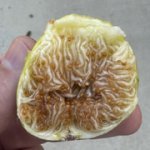 IMG-3053.jpg IMG-3053.jpg