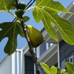 IMG-7791.jpg IMG-7791.jpg