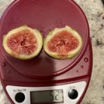 IMG-3403.jpg IMG-3403.jpg