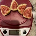 IMG-3404.jpg IMG-3404.jpg