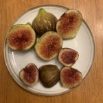 IMG-3622.jpg IMG-3622.jpg