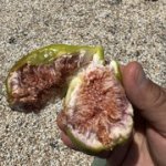 IMG-7801.jpg IMG-7801.jpg