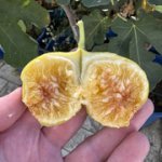 IMG-3923.jpg IMG-3923.jpg