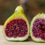 GGoblinr6kq1317.jpg GGoblinr6kq1317.jpg