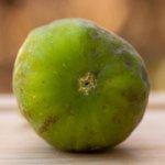 GGoblinr6kq1360.jpg GGoblinr6kq1360.jpg