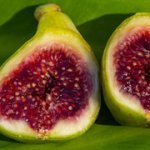 GGoblinr6kq1401.jpg GGoblinr6kq1401.jpg