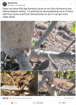 Screenshot%202024-11-10%206.56.06%20PM.png Screenshot%202024-11-10%206.56.06%20PM.png