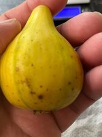 IMG_0910.jpeg