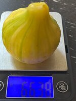 IMG_0912.jpeg