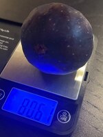 IMG_1021.jpeg