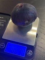 IMG_1022.jpeg
