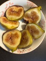 IMG_1024.jpeg